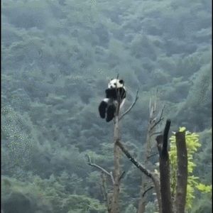 Meet your Posher, Evan